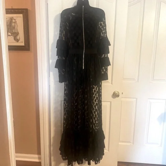 SHEER MESH POLKA DOT TIERED RUFFLE DRESS - Picture 11 of 15